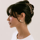 Icon Clip in Brownie