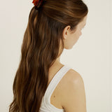 Mini Daily Clip in Spice