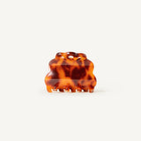 Muse Clip in Tortoise