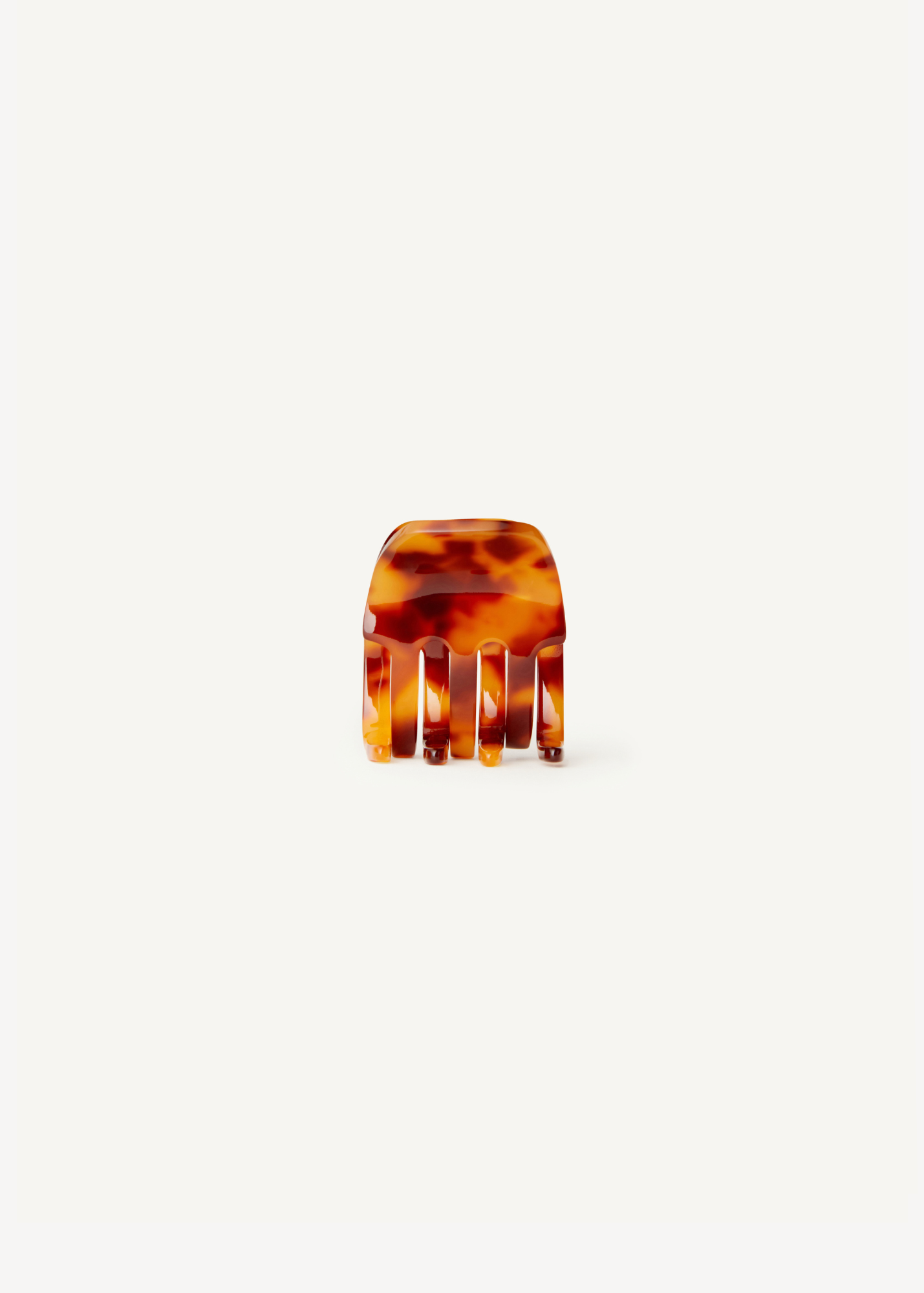 Small tortoise claw clip on a white background.
