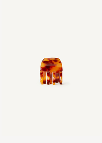 Small tortoise claw clip on a white background.